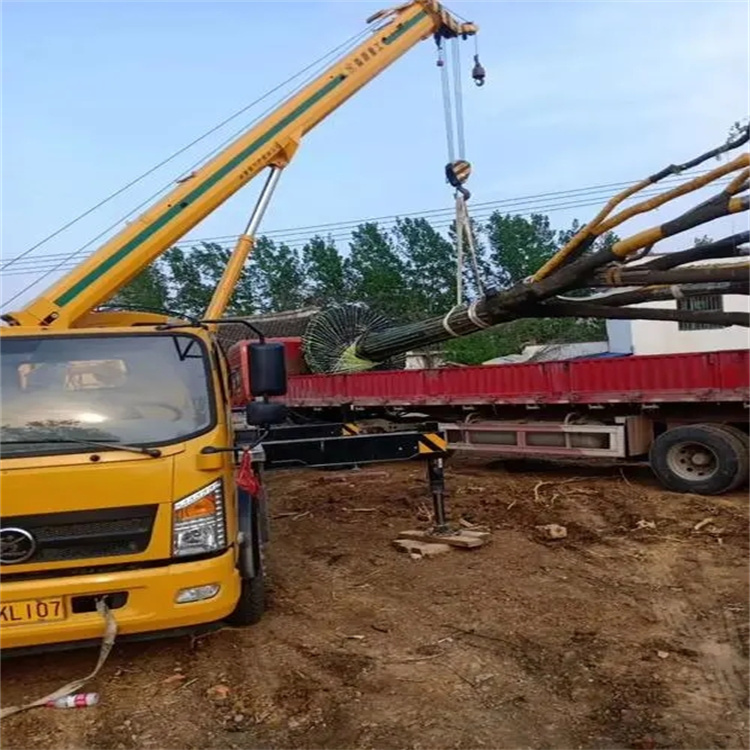 多祥镇100吨吊车租赁费用怎么算？3大关键因素+省钱技巧全解析